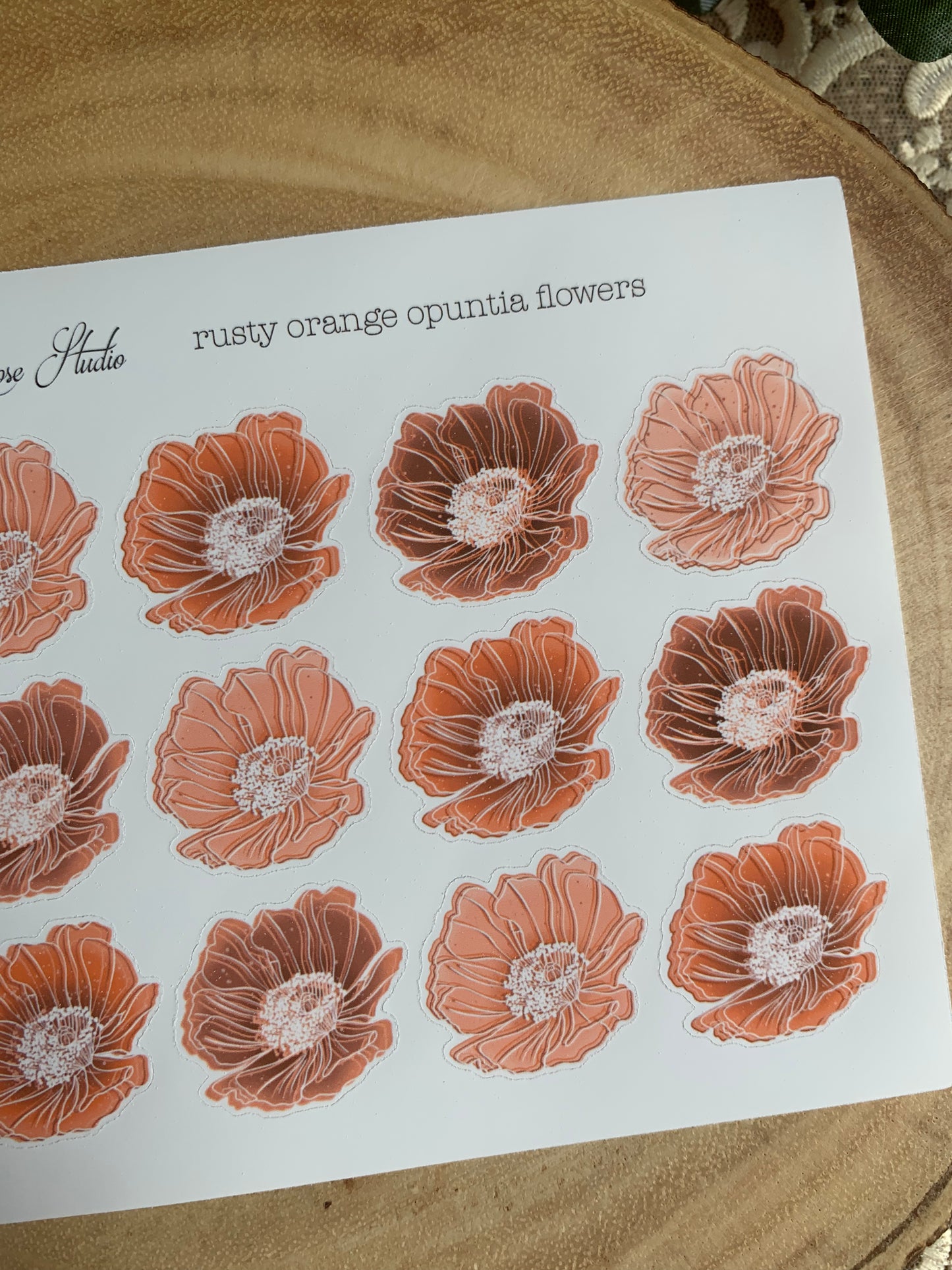 Opuntia Flowers Sticker Sheet - 6 Colors