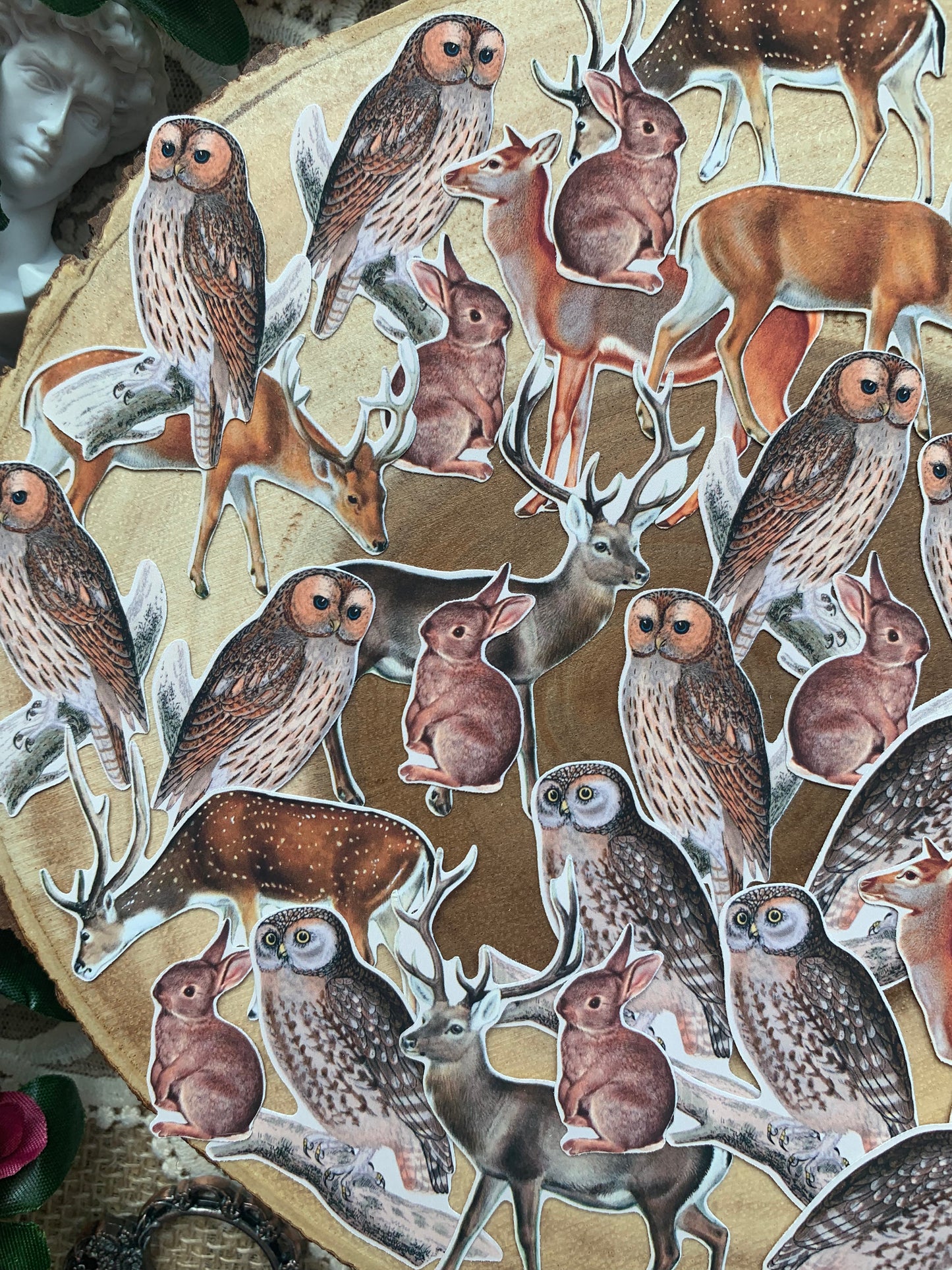 Vintage Woodland Animals Die Cut Stickers - 35 Variety Pack