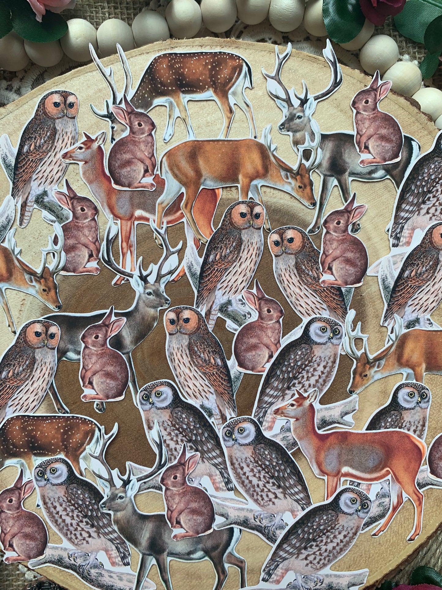 Vintage Woodland Animals Die Cut Stickers - 35 Variety Pack