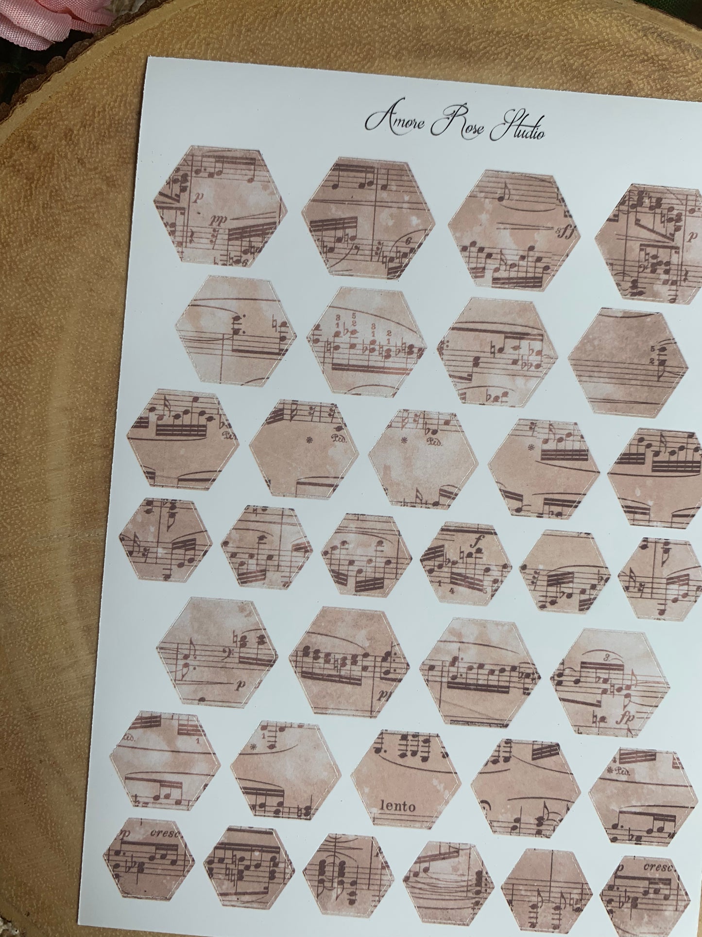 Vintage Music Notes Hexagons Sticker Sheet