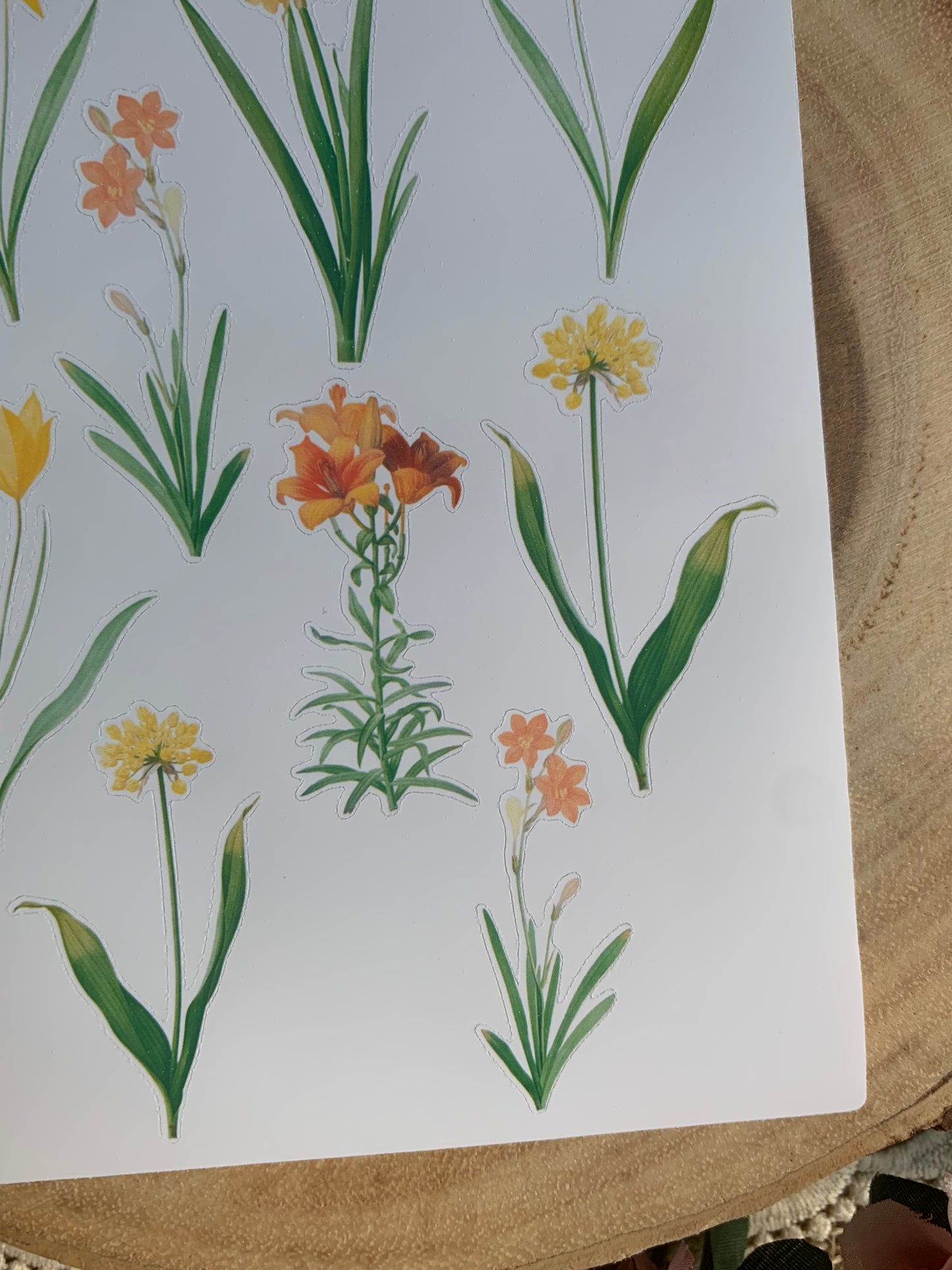 Vintage Yellow & Orange Flowers Sticker Sheet