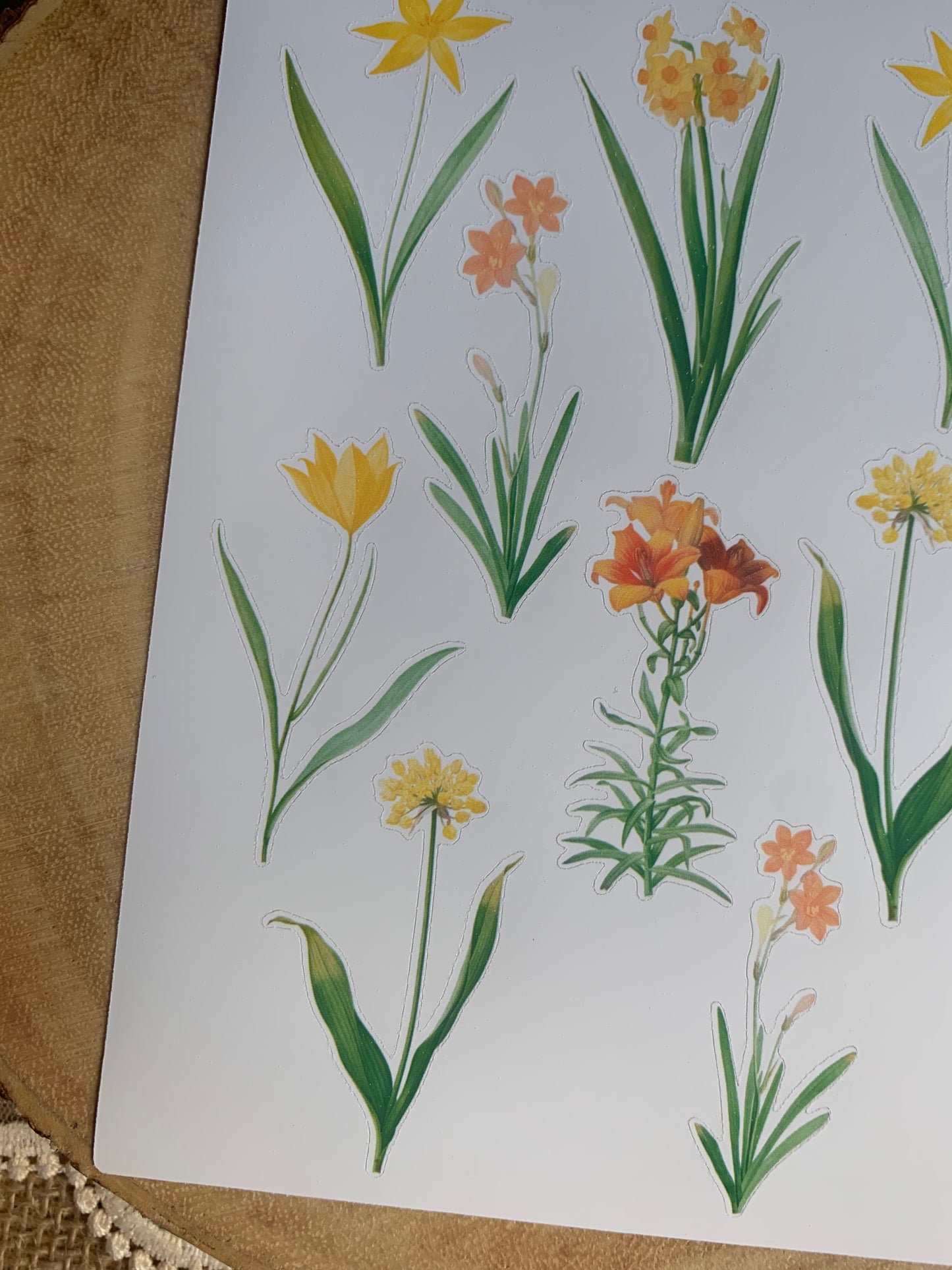 Vintage Yellow & Orange Flowers Sticker Sheet